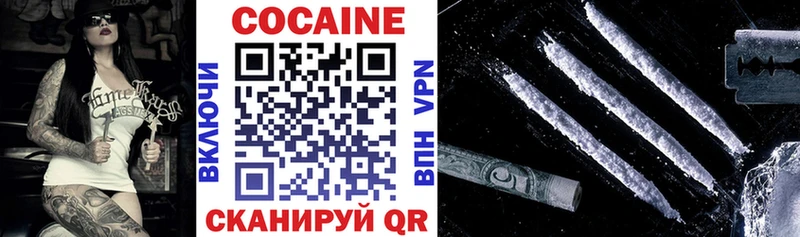  COCAIN Ершов