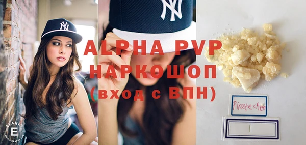 гидра Белокуриха