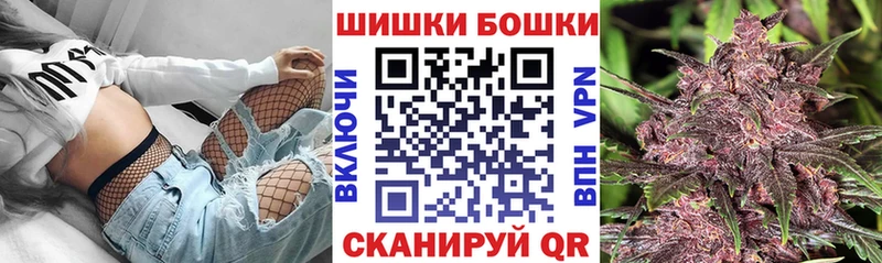 Купить  Ершов  Конопля план 